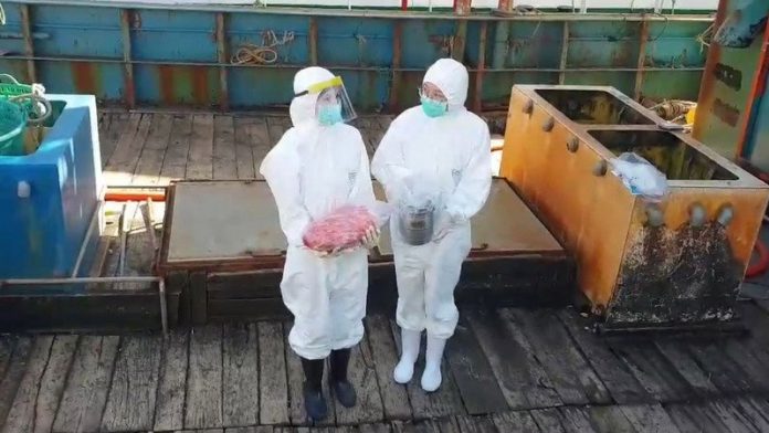 檢疫局 或 海巡署